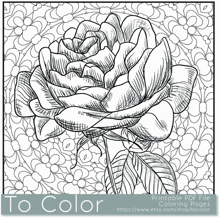 Coloring book pictures of flowers complex