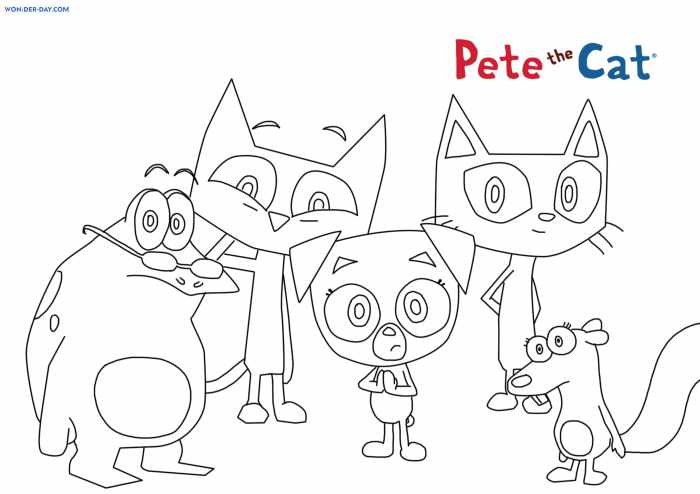 Pete the cat coloring book