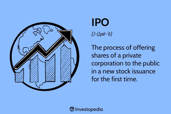 Birkenstock stock ipo price