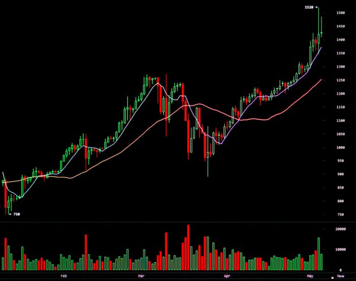 Bitc stock price