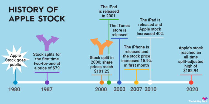 Seekingalpha aapl