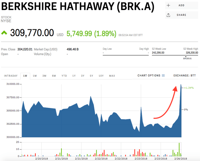 Hathaway berkshire chart indicate performance