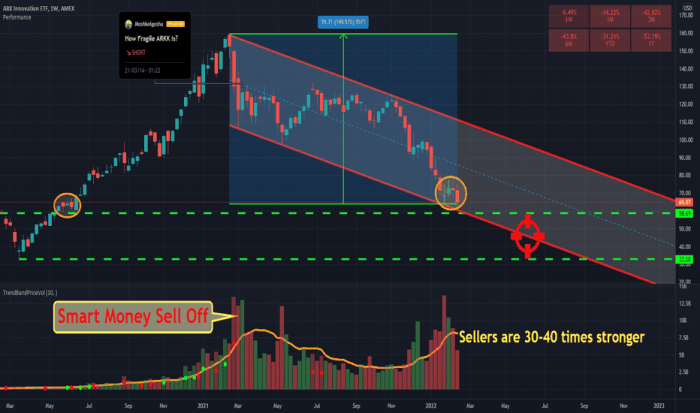 Arkk future stock price