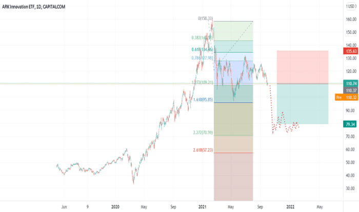 Arkk future stock price